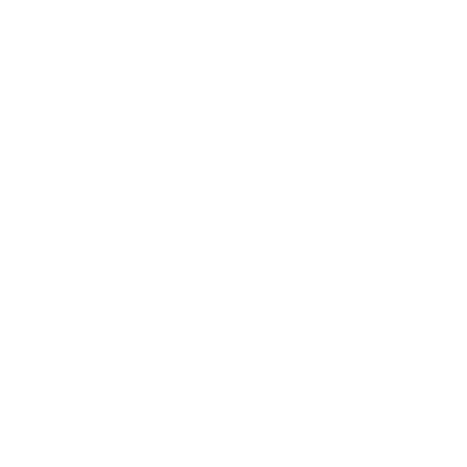 Server